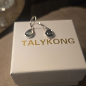 Silver and Blue Teardrop Earrings